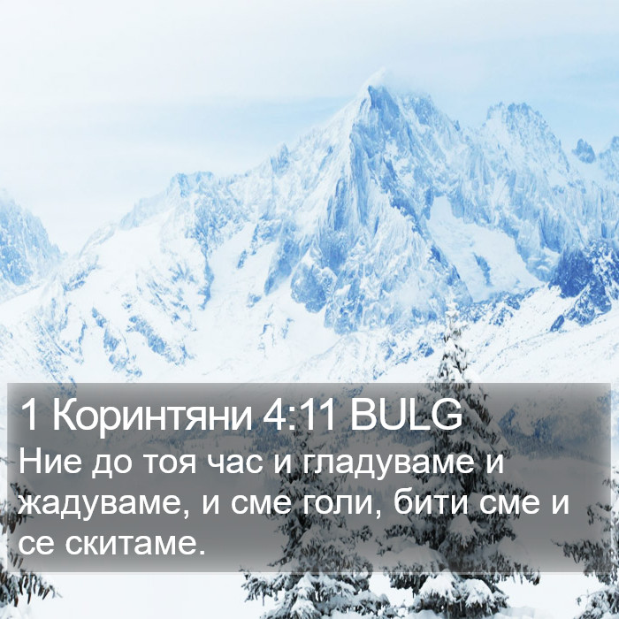 1 Коринтяни 4:11 BULG Bible Study