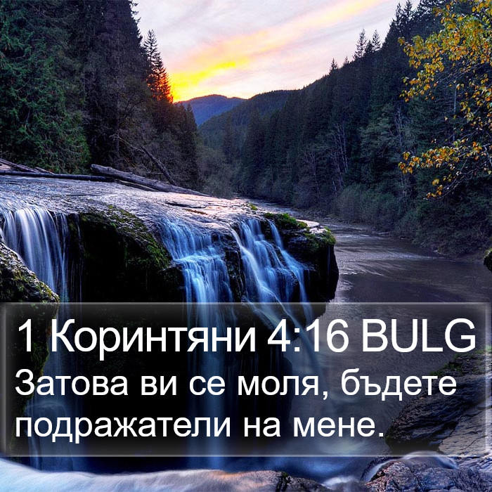 1 Коринтяни 4:16 BULG Bible Study