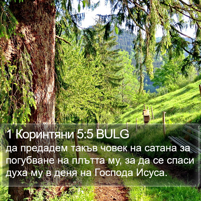1 Коринтяни 5:5 BULG Bible Study