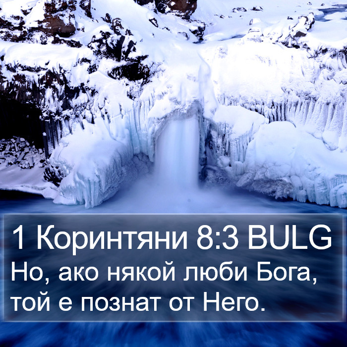 1 Коринтяни 8:3 BULG Bible Study