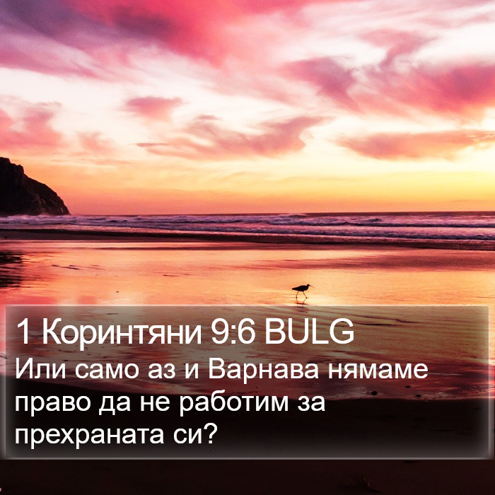 1 Коринтяни 9:6 BULG Bible Study