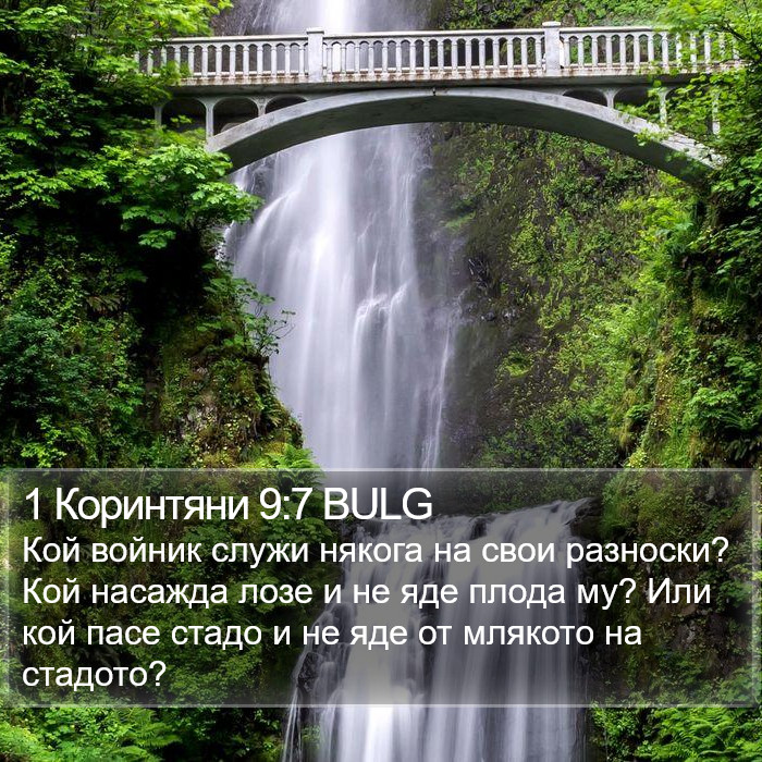 1 Коринтяни 9:7 BULG Bible Study