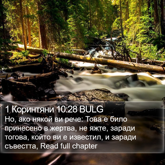 1 Коринтяни 10:28 BULG Bible Study