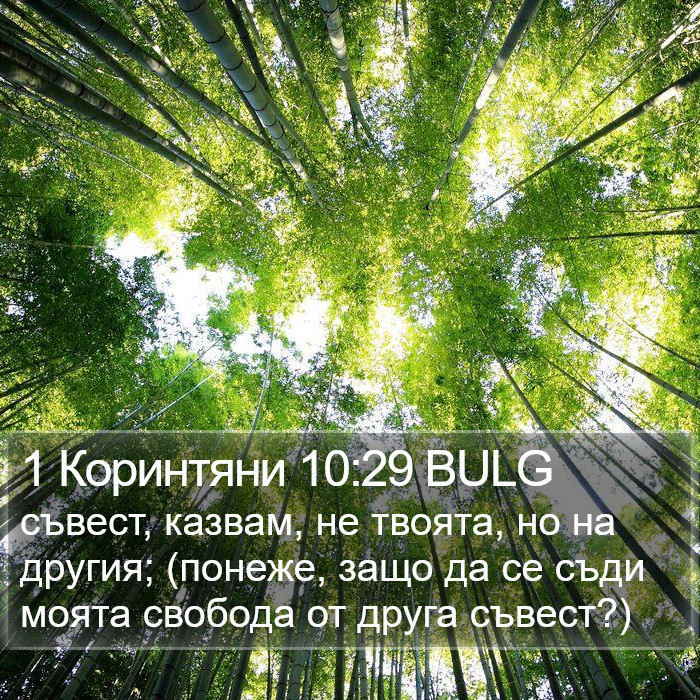 1 Коринтяни 10:29 BULG Bible Study