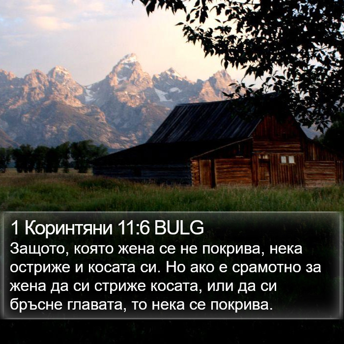 1 Коринтяни 11:6 BULG Bible Study
