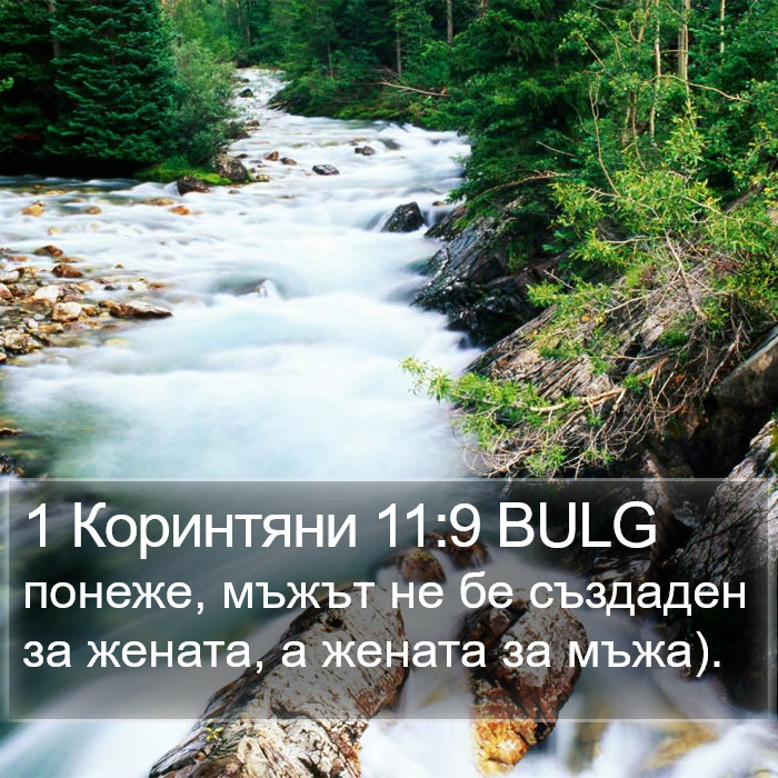 1 Коринтяни 11:9 BULG Bible Study