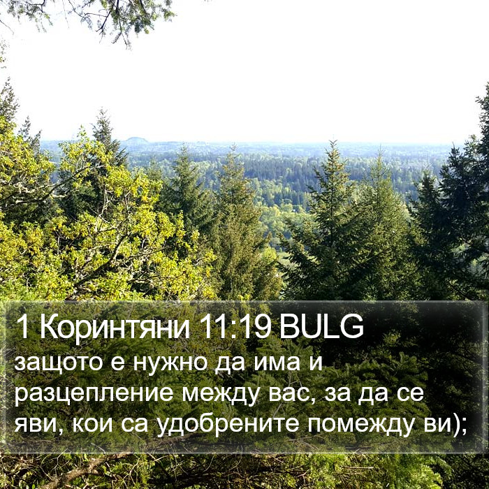 1 Коринтяни 11:19 BULG Bible Study