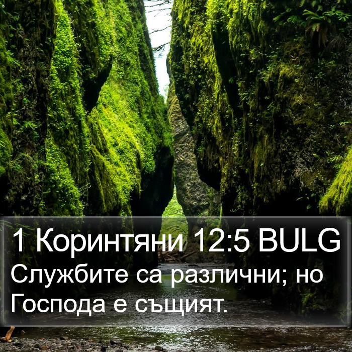 1 Коринтяни 12:5 BULG Bible Study