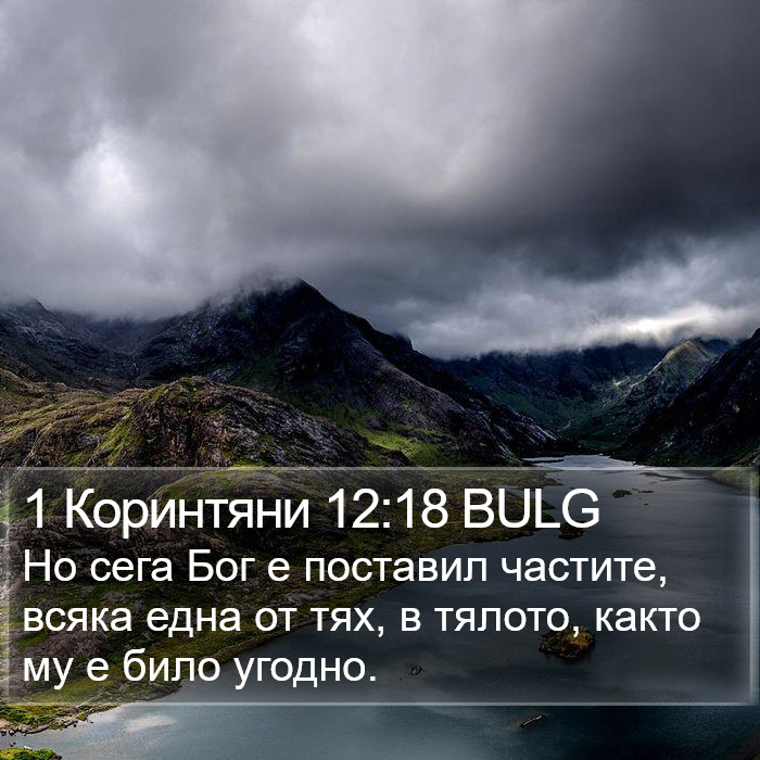 1 Коринтяни 12:18 BULG Bible Study