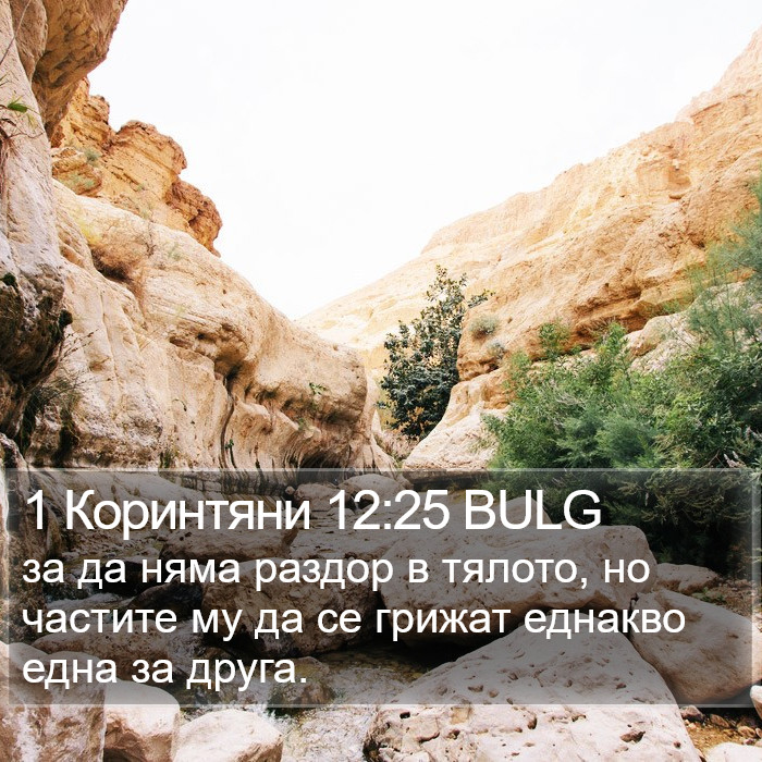 1 Коринтяни 12:25 BULG Bible Study