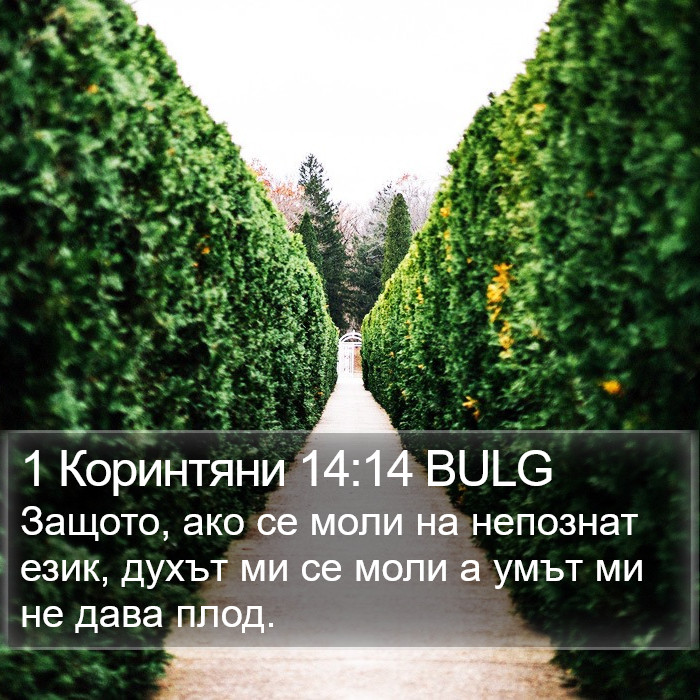 1 Коринтяни 14:14 BULG Bible Study