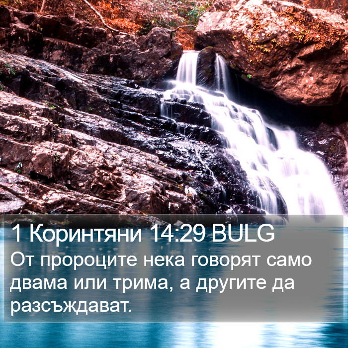 1 Коринтяни 14:29 BULG Bible Study