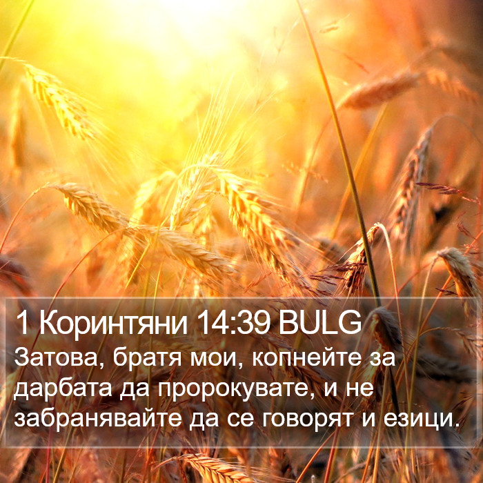 1 Коринтяни 14:39 BULG Bible Study