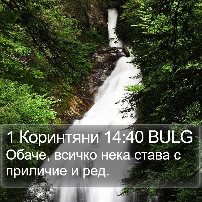 1 Коринтяни 14:40 BULG Bible Study