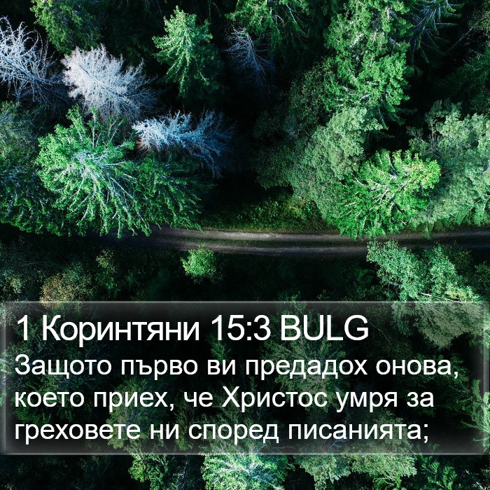 1 Коринтяни 15:3 BULG Bible Study