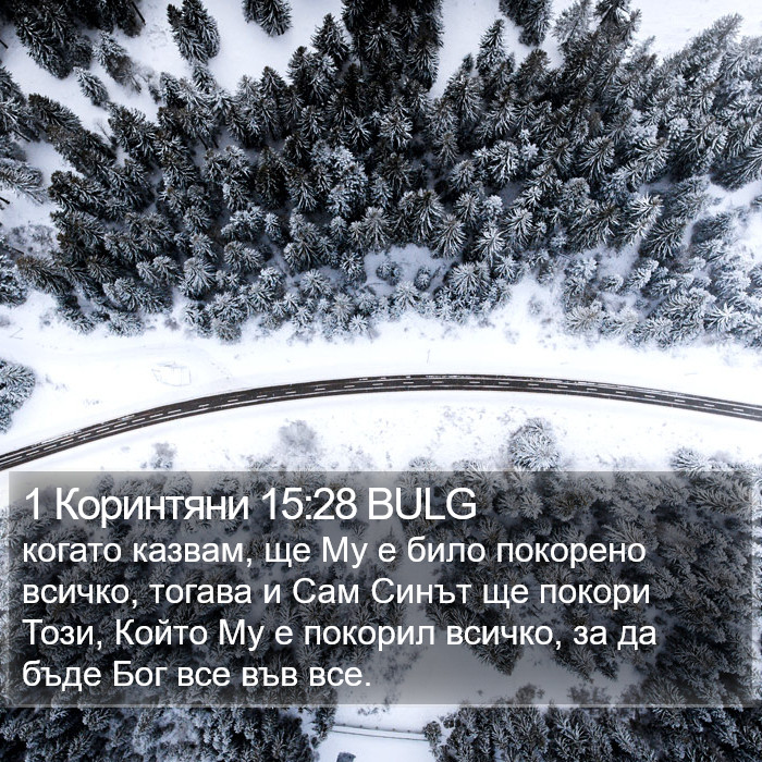 1 Коринтяни 15:28 BULG Bible Study