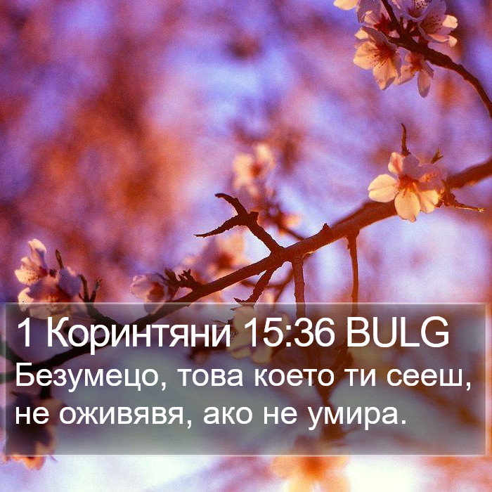 1 Коринтяни 15:36 BULG Bible Study