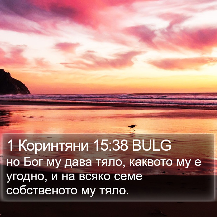 1 Коринтяни 15:38 BULG Bible Study