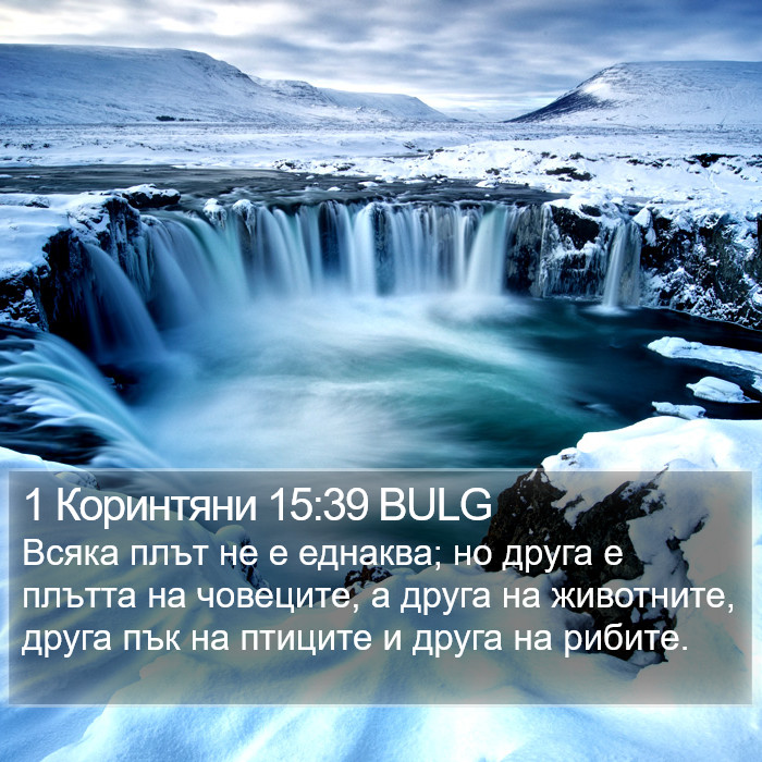 1 Коринтяни 15:39 BULG Bible Study