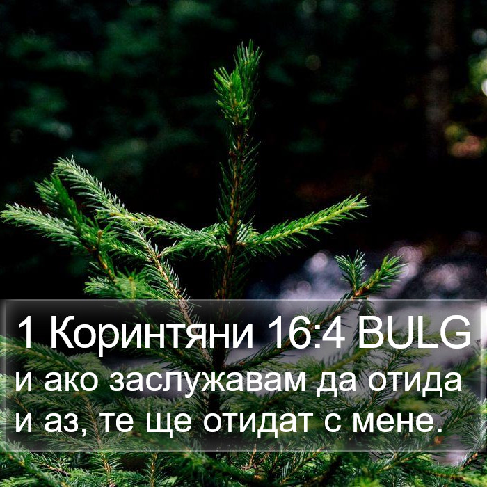 1 Коринтяни 16:4 BULG Bible Study