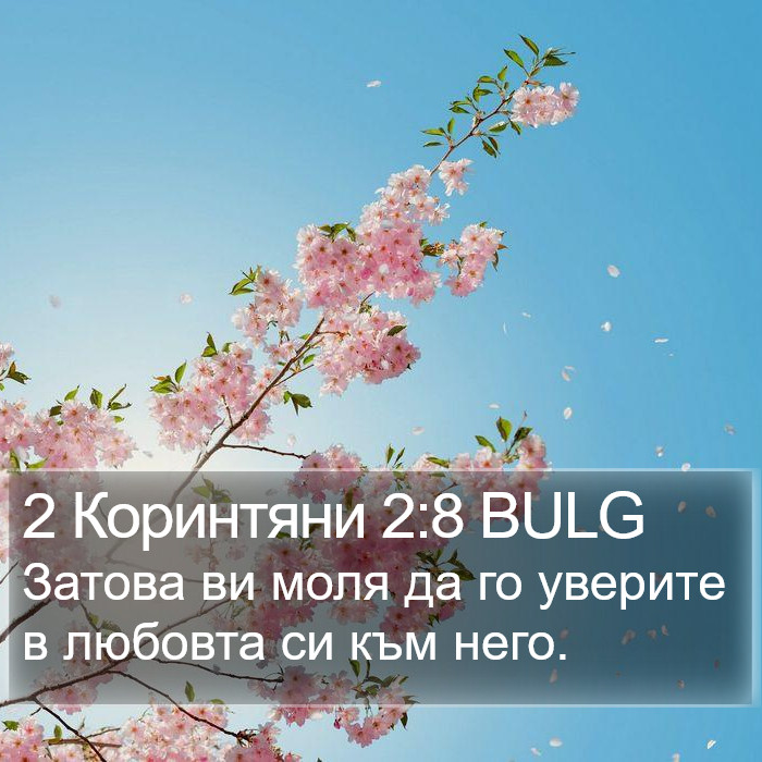 2 Коринтяни 2:8 BULG Bible Study