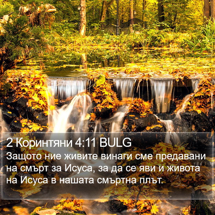 2 Коринтяни 4:11 BULG Bible Study