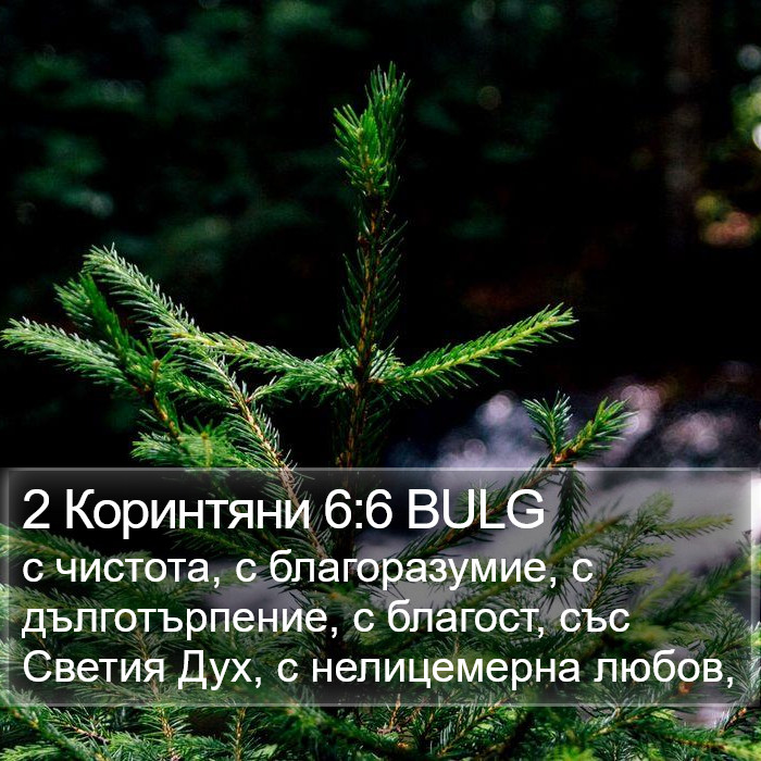 2 Коринтяни 6:6 BULG Bible Study