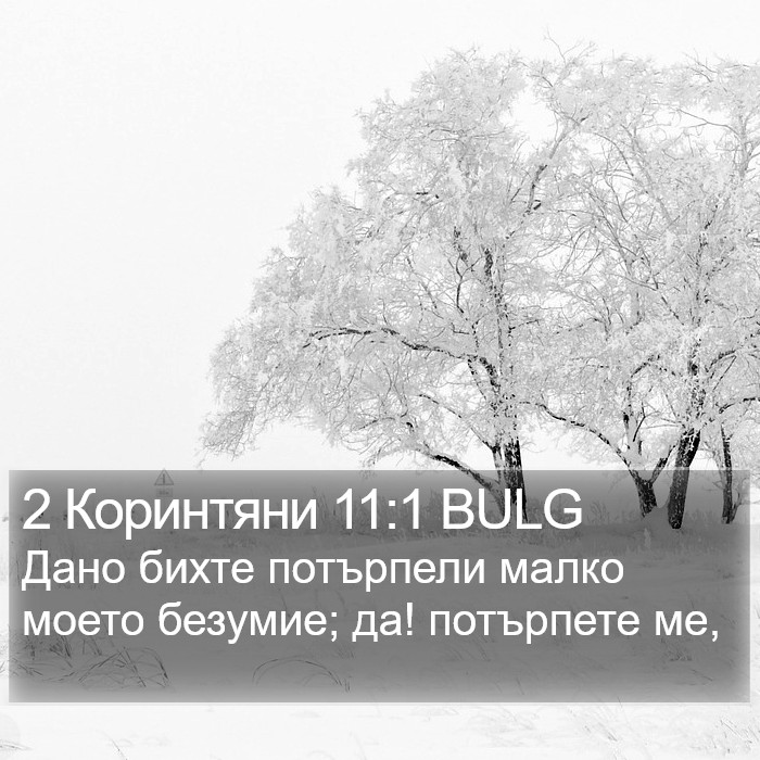 2 Коринтяни 11:1 BULG Bible Study