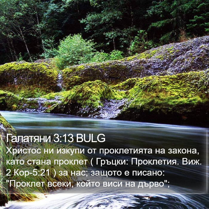 Галатяни 3:13 BULG Bible Study