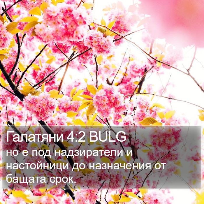 Галатяни 4:2 BULG Bible Study