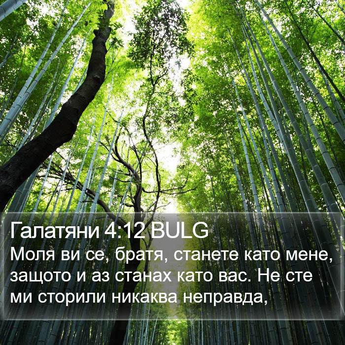 Галатяни 4:12 BULG Bible Study