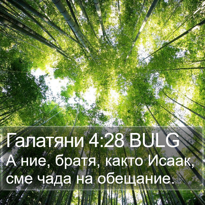 Галатяни 4:28 BULG Bible Study