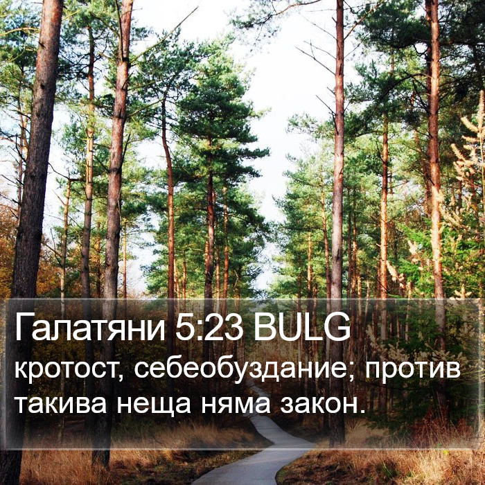 Галатяни 5:23 BULG Bible Study