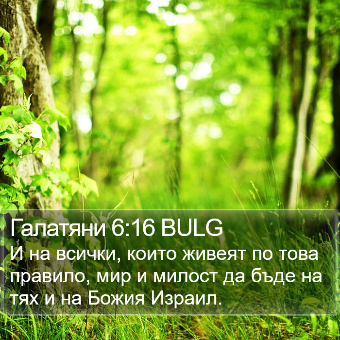 Галатяни 6:16 BULG Bible Study
