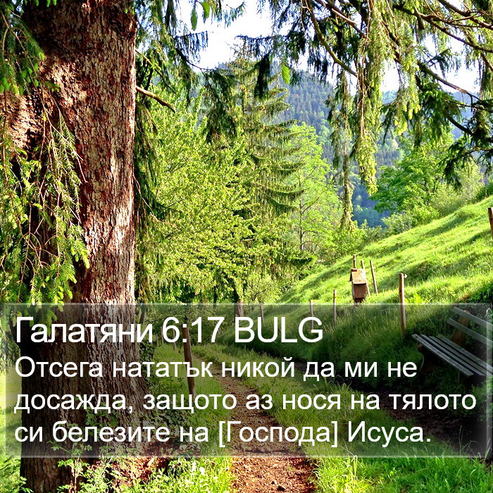 Галатяни 6:17 BULG Bible Study