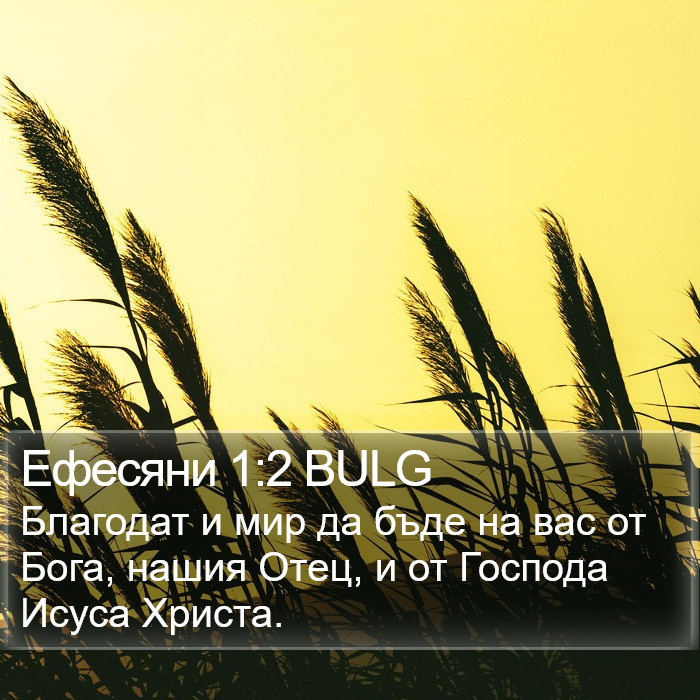 Ефесяни 1:2 BULG Bible Study