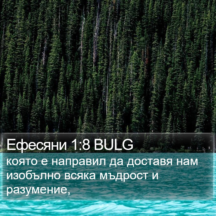 Ефесяни 1:8 BULG Bible Study