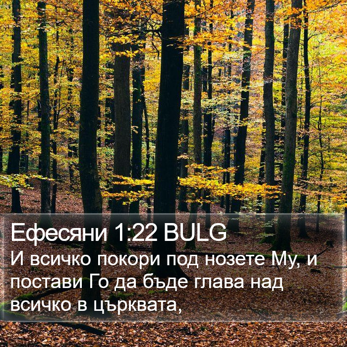 Ефесяни 1:22 BULG Bible Study