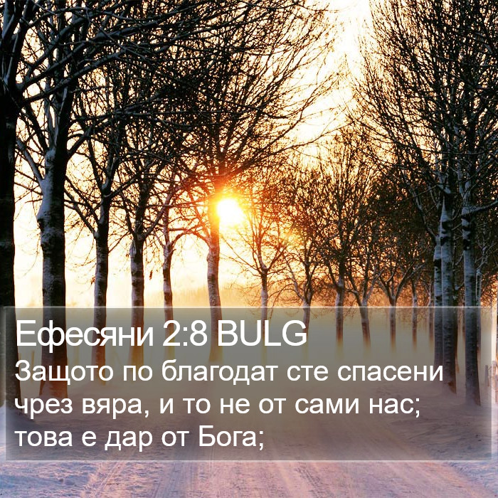 Ефесяни 2:8 BULG Bible Study