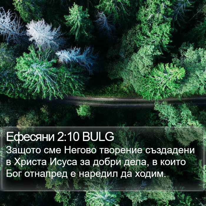 Ефесяни 2:10 BULG Bible Study