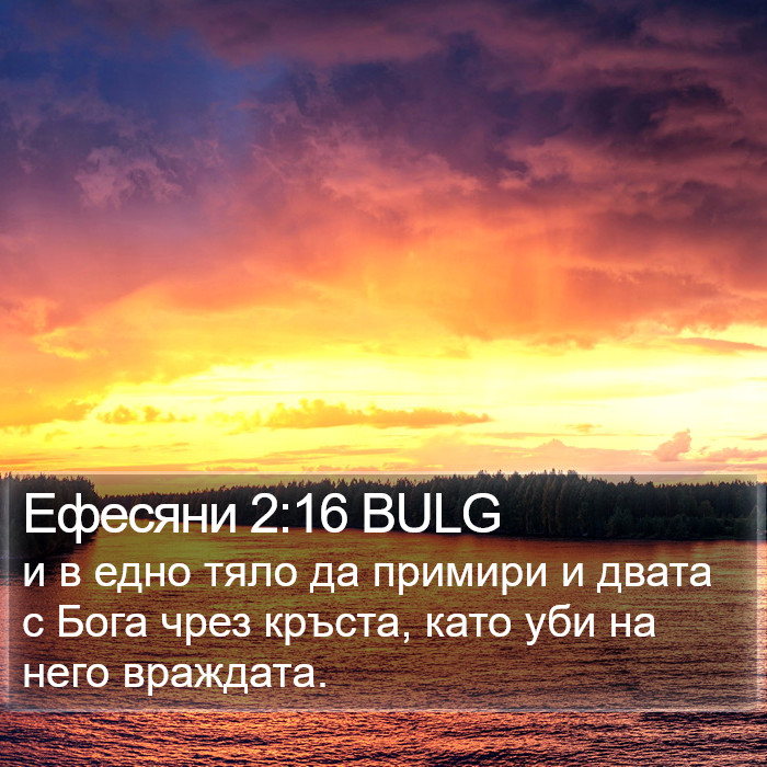 Ефесяни 2:16 BULG Bible Study