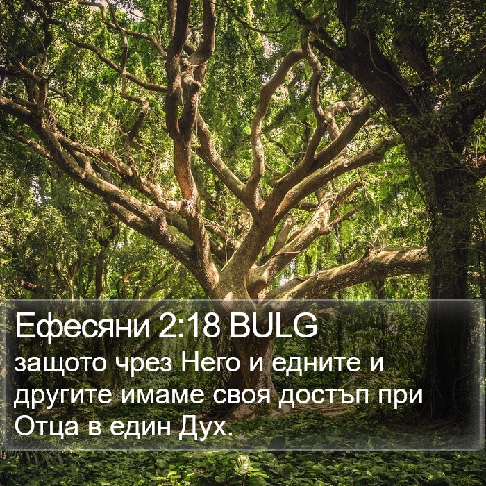 Ефесяни 2:18 BULG Bible Study