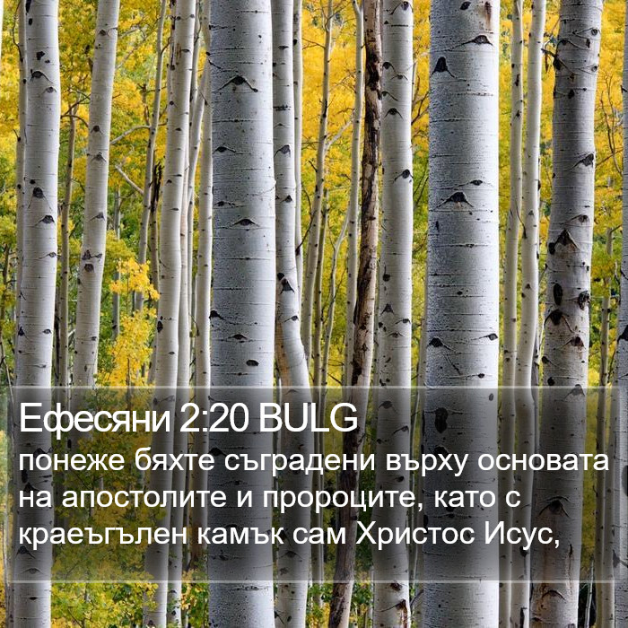 Ефесяни 2:20 BULG Bible Study