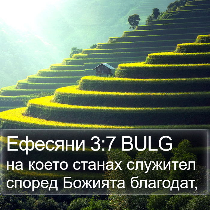 Ефесяни 3:7 BULG Bible Study