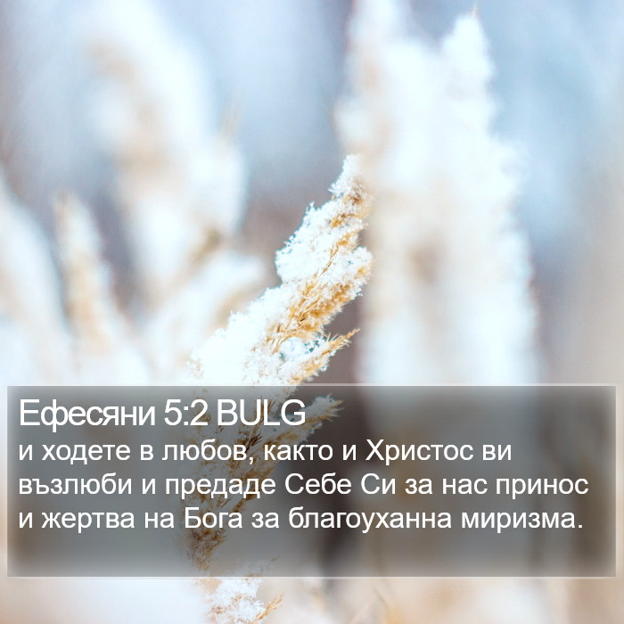 Ефесяни 5:2 BULG Bible Study