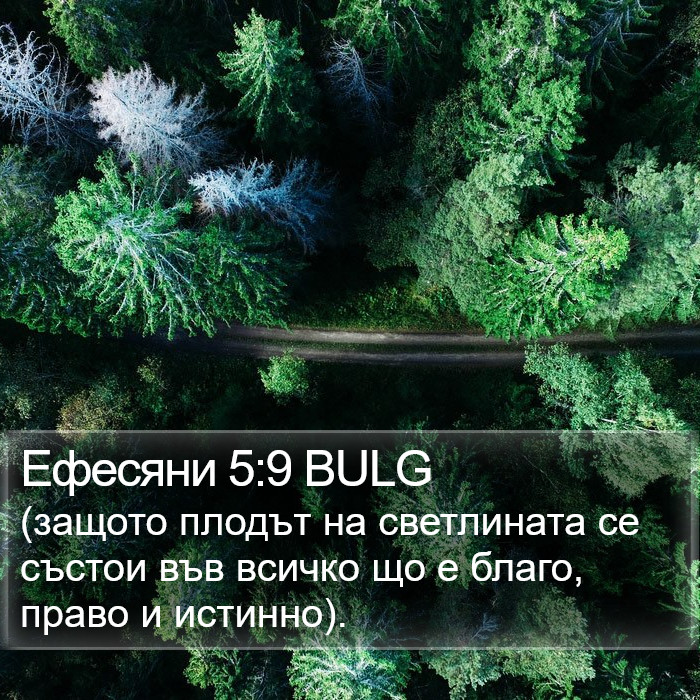 Ефесяни 5:9 BULG Bible Study