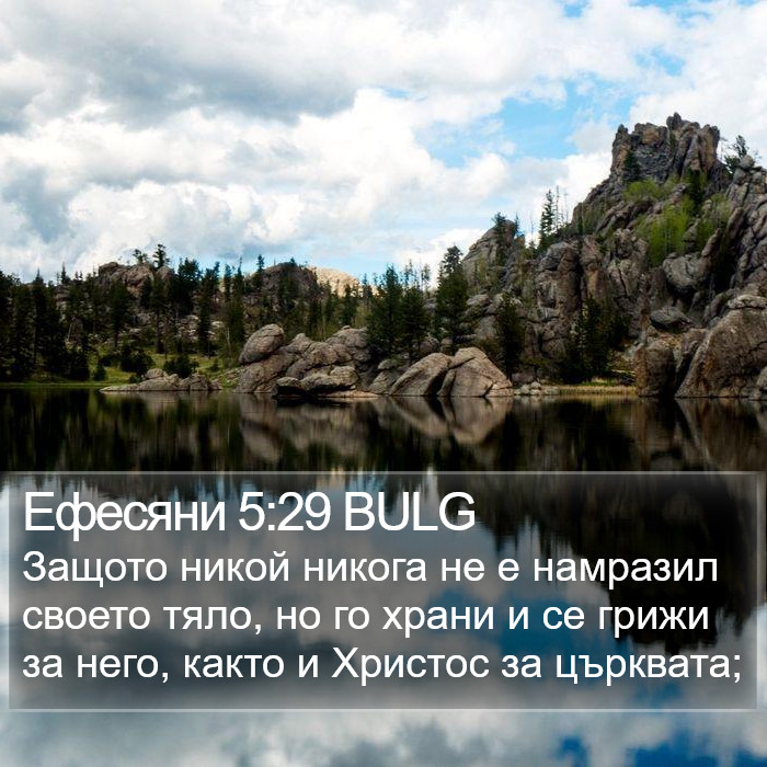 Ефесяни 5:29 BULG Bible Study