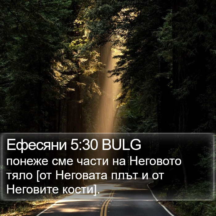 Ефесяни 5:30 BULG Bible Study