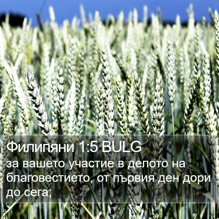 Филипяни 1:5 BULG Bible Study