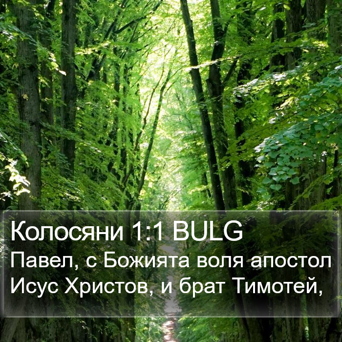 Колосяни 1:1 BULG Bible Study